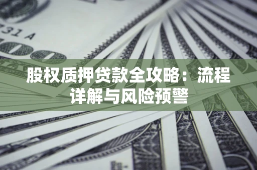 武汉股权质押贷款全攻略：流程详解与风险预警