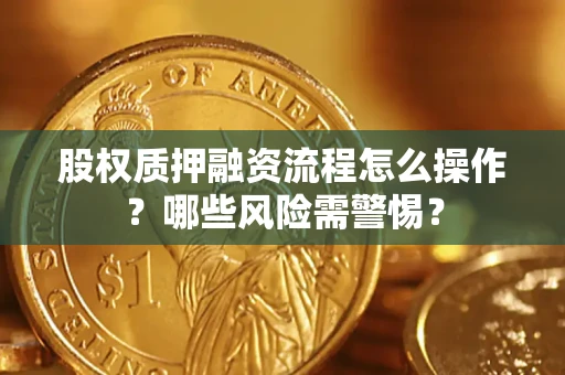 武汉股权质押融资流程怎么操作？哪些风险需警惕？