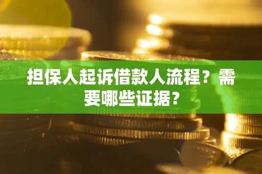 武汉担保人起诉借款人流程？需要哪些证据？