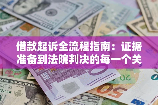 武汉借款起诉全流程指南：证据准备到法院判决的每一个关键步骤