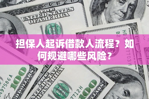 武汉担保人起诉借款人流程？如何规避哪些风险？