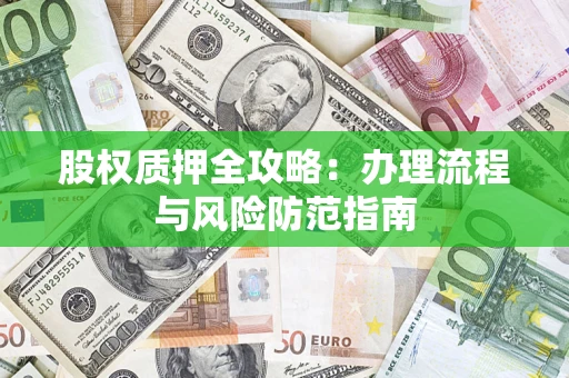 武汉股权质押全攻略：办理流程与风险防范指南