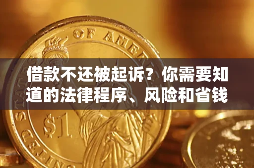 武汉借款不还被起诉？你需要知道的法律程序、风险和省钱技巧